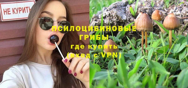 гидропоника Наволоки