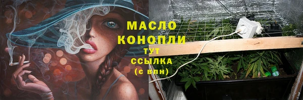 стаф Абдулино